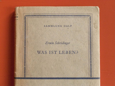 flusser_05