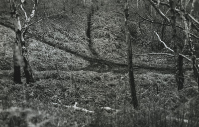 ridges