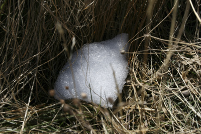 snow