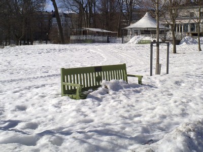 bench
