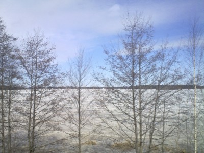 frozen