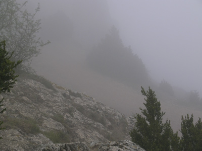 mountain